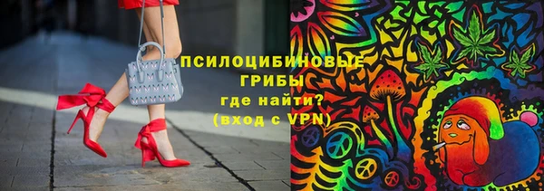 бошки Богородицк